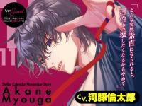 Stellar Calendar（ステラ・カレンダー）～November Story～【出演声優：河豚倫太郎】