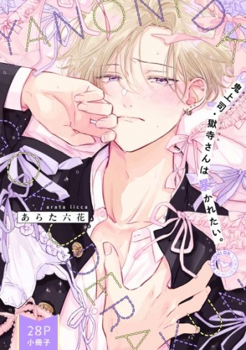 鬼上司・獄寺さんは暴かれたい。「YANONI DK GOKUDERAKUN」(28P小冊子)